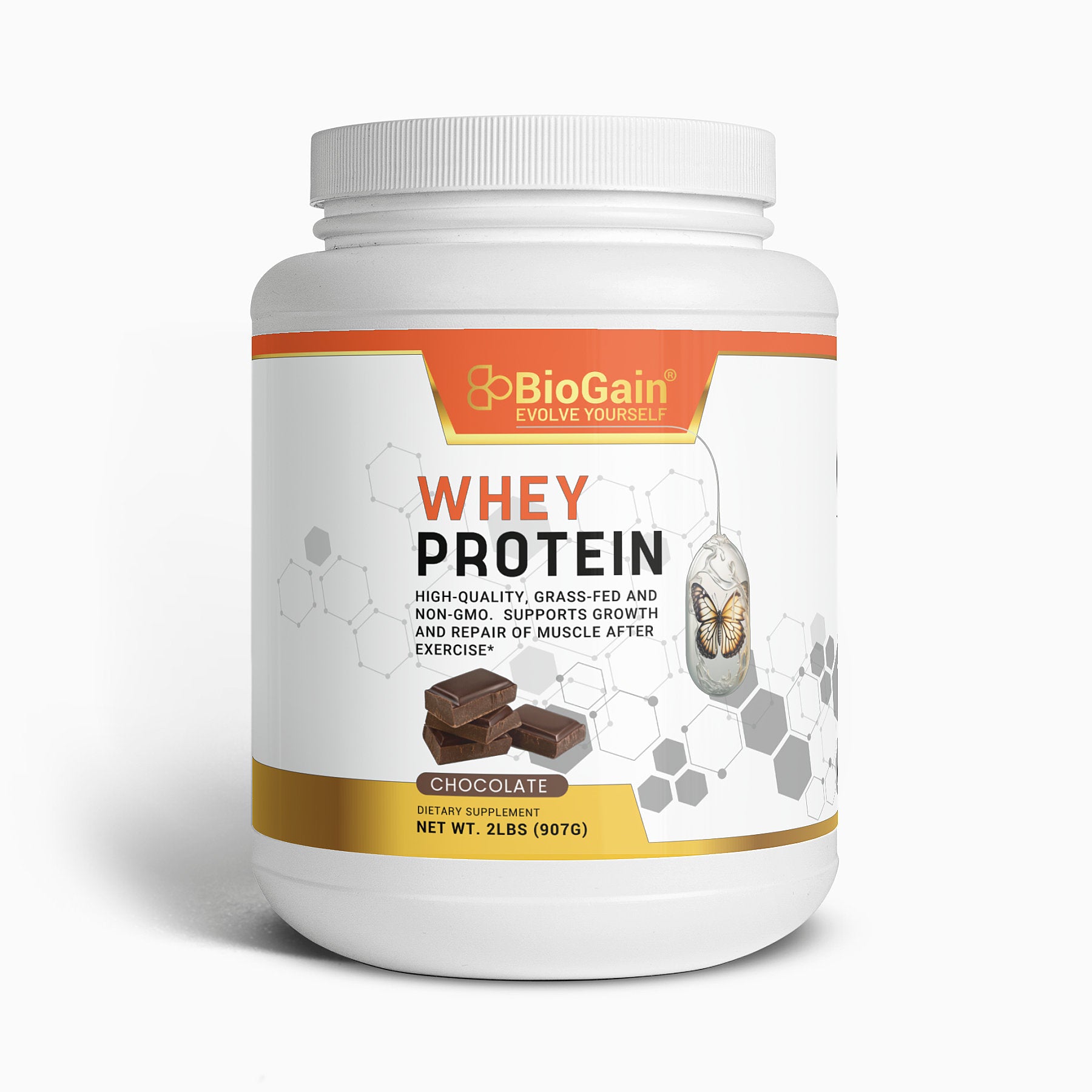 BioGain® Whey Protein (Chocolate Flavour)