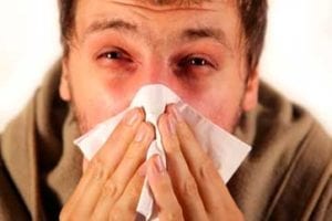 Allergies – The Sneezing Sickness