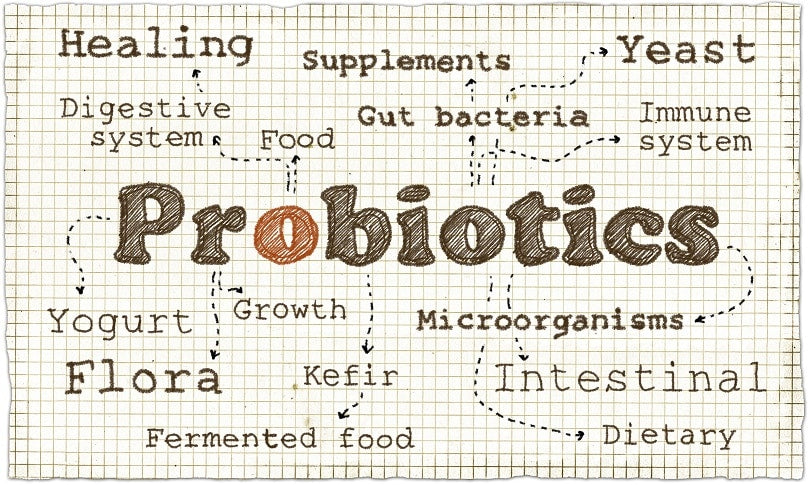 Velobiotics - 10 Medically Compelling Benefits for Probiotics