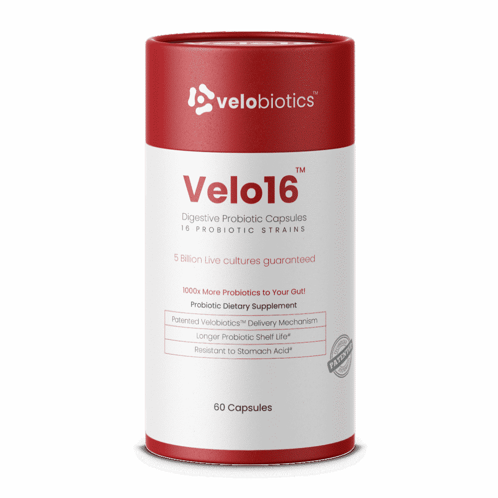 GutBundle Couple Pack - Him and Her Probiotic Value Pack, 60 capsules, Velobiotics.